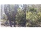 28 Canaipa Ridge Road, Russell Island QLD 4184