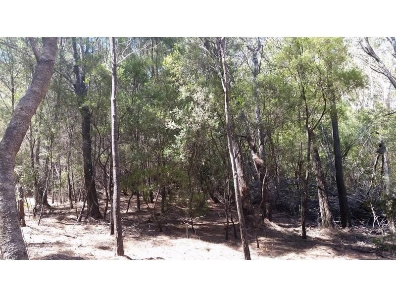 28 Canaipa Ridge Road, Russell Island QLD 4184