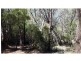 28 Canaipa Ridge Road, Russell Island QLD 4184
