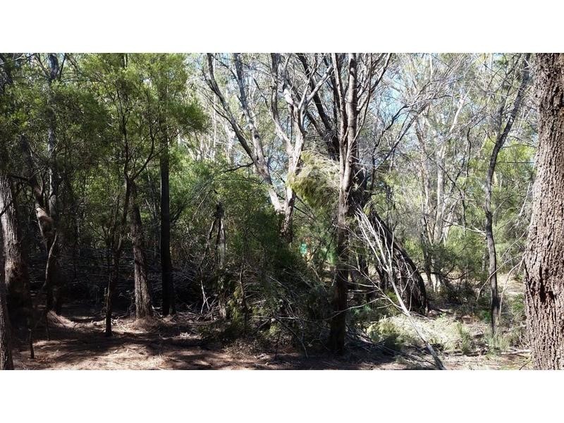 28 Canaipa Ridge Road, Russell Island QLD 4184