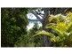 48 Tenanne Street, Russell Island QLD 4184