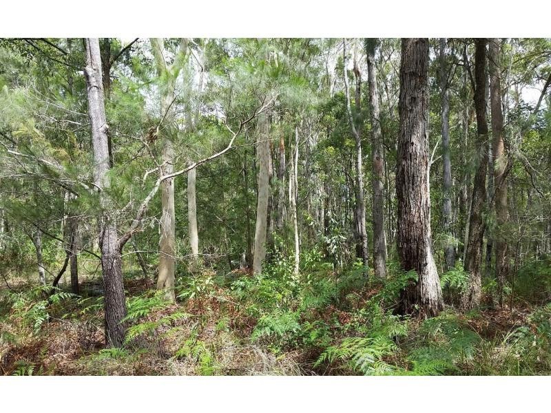 16 Bamberry Street, Russell Island QLD 4184