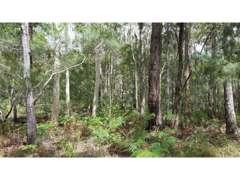 16 Bamberry Street, Russell Island QLD 4184