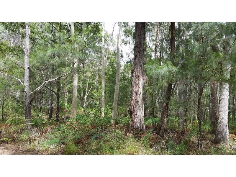 16 Bamberry Street, Russell Island QLD 4184