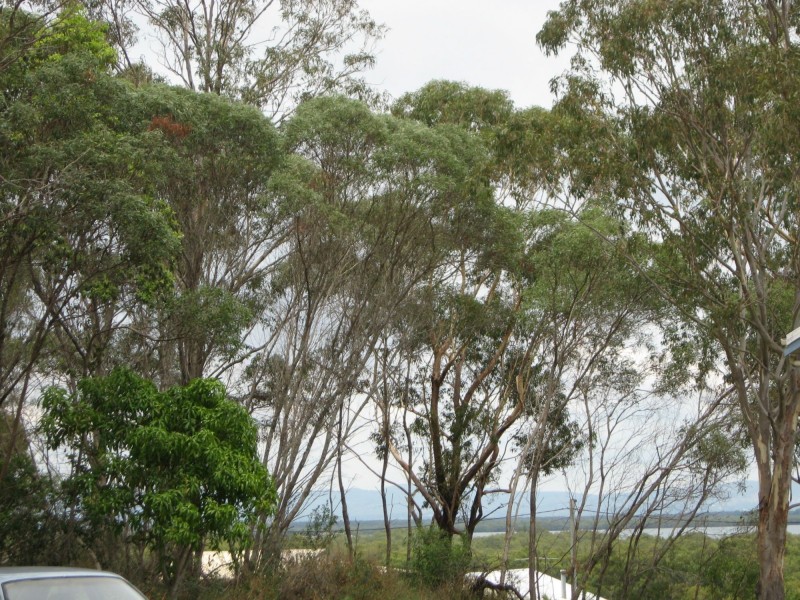 29 Gilcrest Road, Russell Island QLD 4184