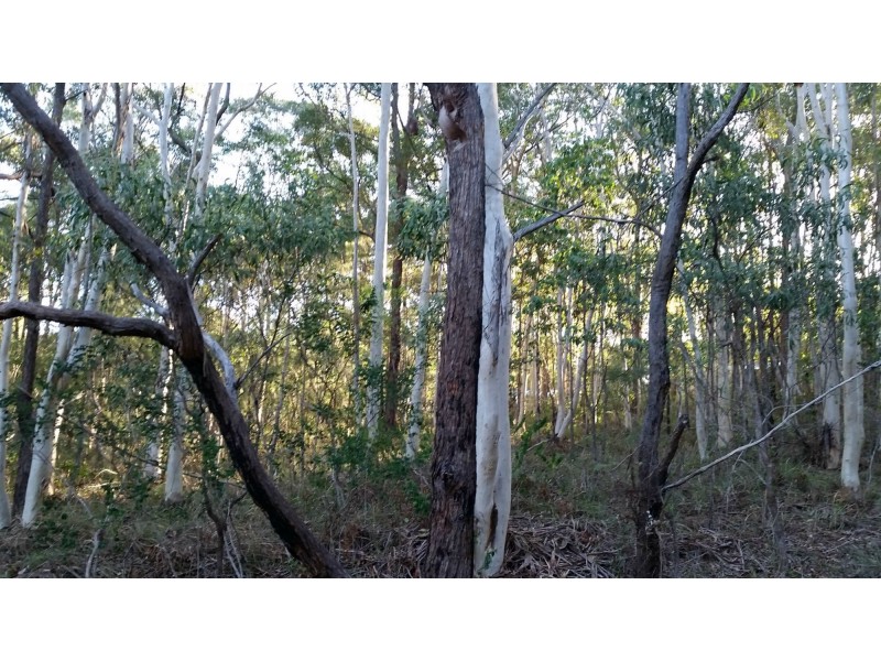 7 Eyre Court St, Russell Island QLD 4184