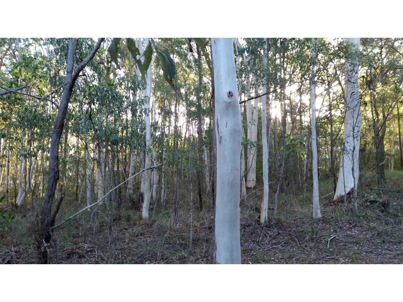 7 Eyre Court St, Russell Island QLD 4184