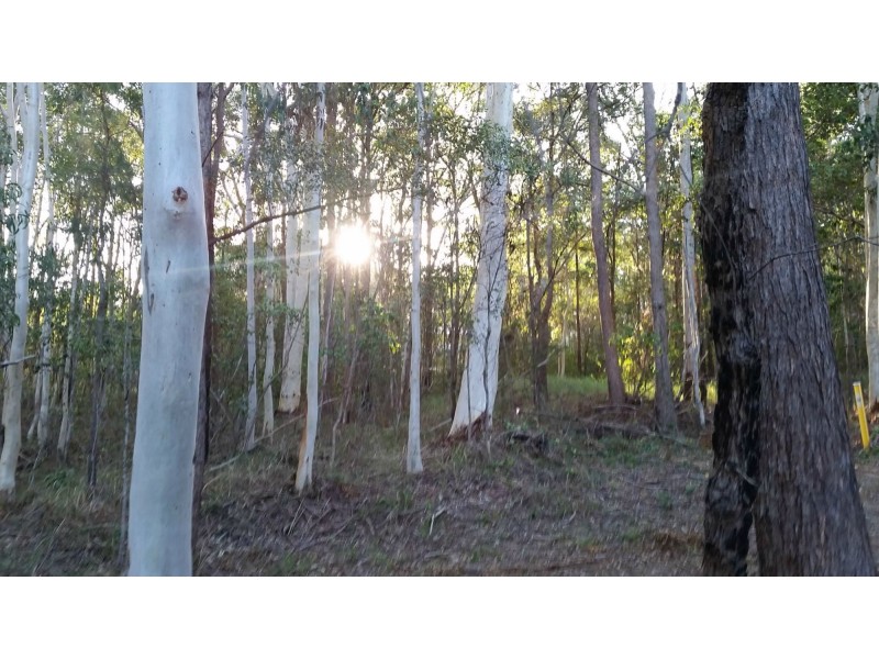 7 Eyre Court St, Russell Island QLD 4184