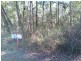 24 WOODLANDS Circuit, Russell Island QLD 4184