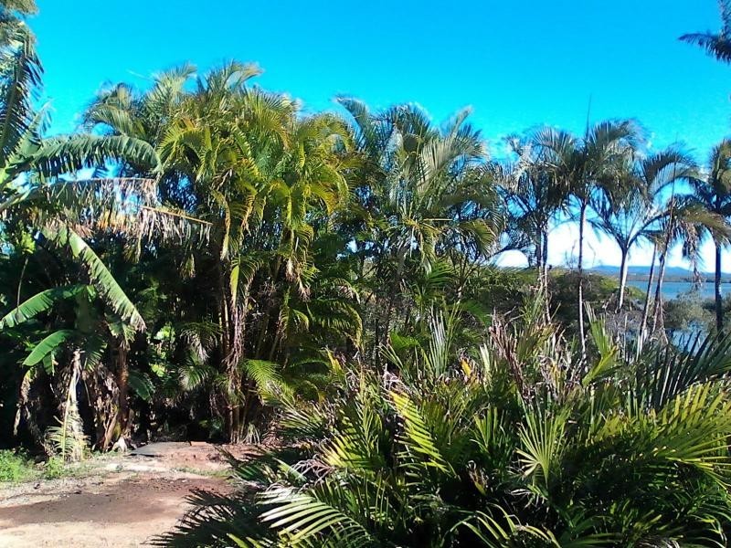 140 Palm Beach Road, Russell Island QLD 4184
