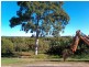 140 Palm Beach Road, Russell Island QLD 4184