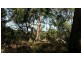 10 Deenya Parade, Russell Island QLD 4184