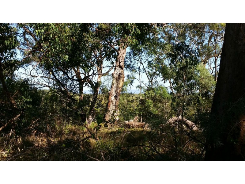 10 Deenya Parade, Russell Island QLD 4184