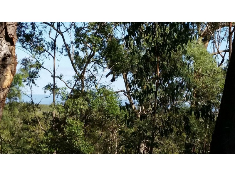 10 Deenya Parade, Russell Island QLD 4184