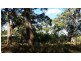 10 Deenya Parade, Russell Island QLD 4184
