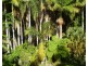 8 Douglas Street, Russell Island QLD 4184