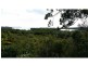 159 Canaipa Pt Drive, Russell Island QLD 4184