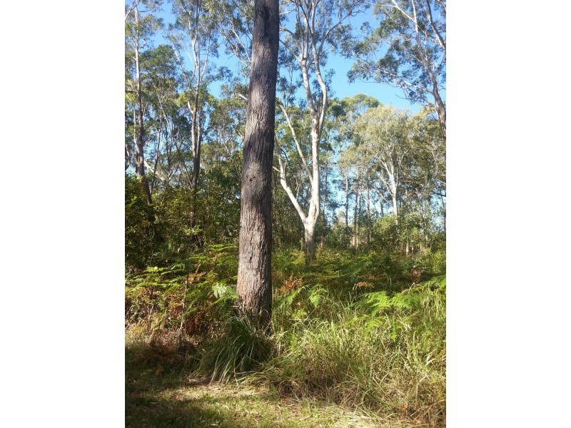 4 Lawson Street, Russell Island QLD 4184