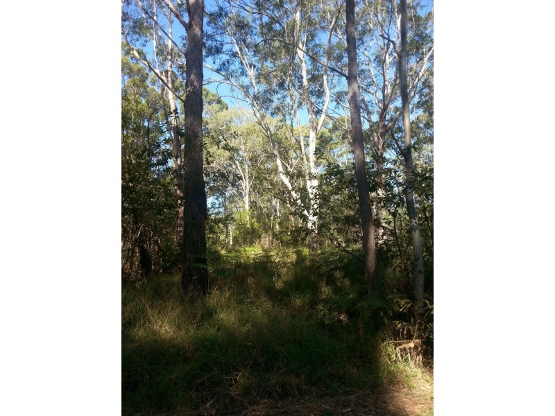 4 Lawson Street, Russell Island QLD 4184