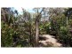 41 Belgrave Street, Russell Island QLD 4184