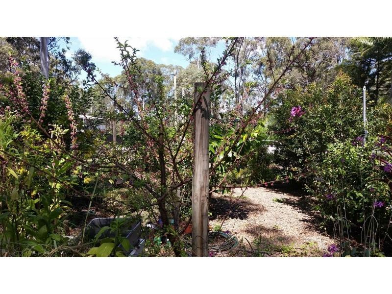 41 Belgrave Street, Russell Island QLD 4184