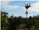 62 Centre Road, Russell Island QLD 4184
