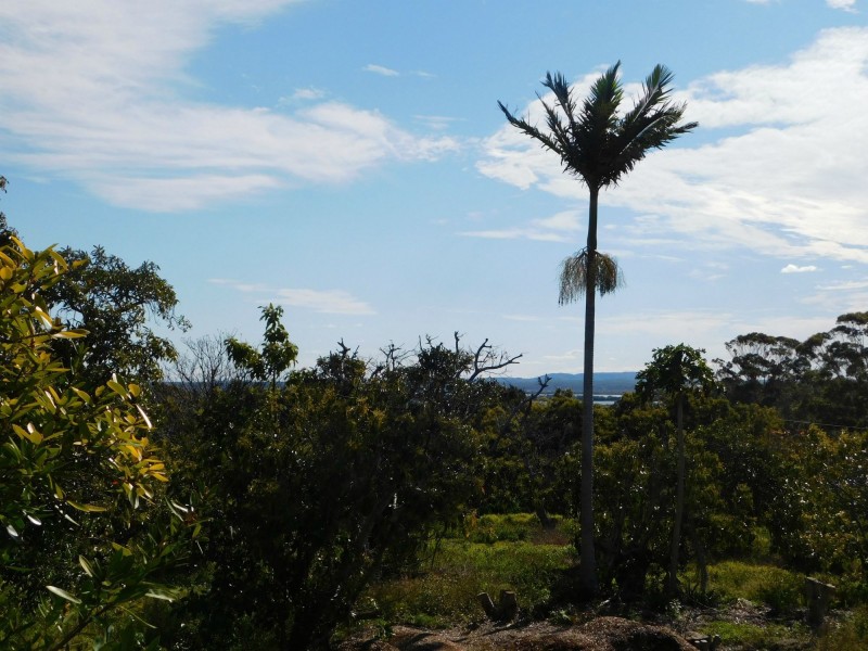 62 Centre Road, Russell Island QLD 4184