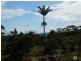 62 Centre Road, Russell Island QLD 4184