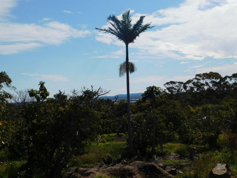 62 Centre Road, Russell Island QLD 4184