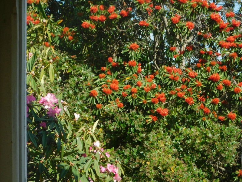 62 Centre Road, Russell Island QLD 4184
