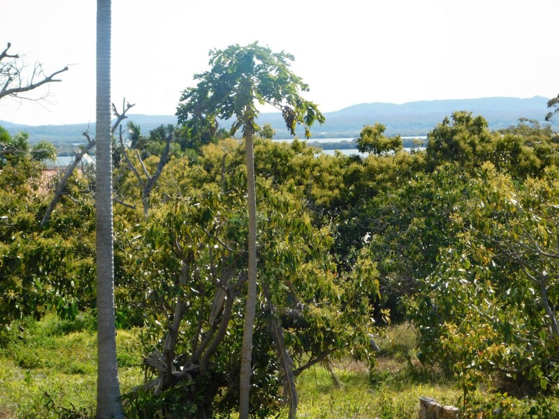 62 Centre Road, Russell Island QLD 4184