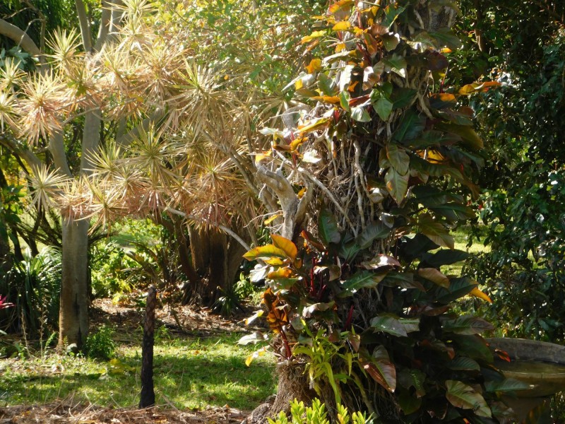 62 Centre Road, Russell Island QLD 4184