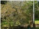 62 Centre Road, Russell Island QLD 4184