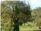 62 Centre Road, Russell Island QLD 4184