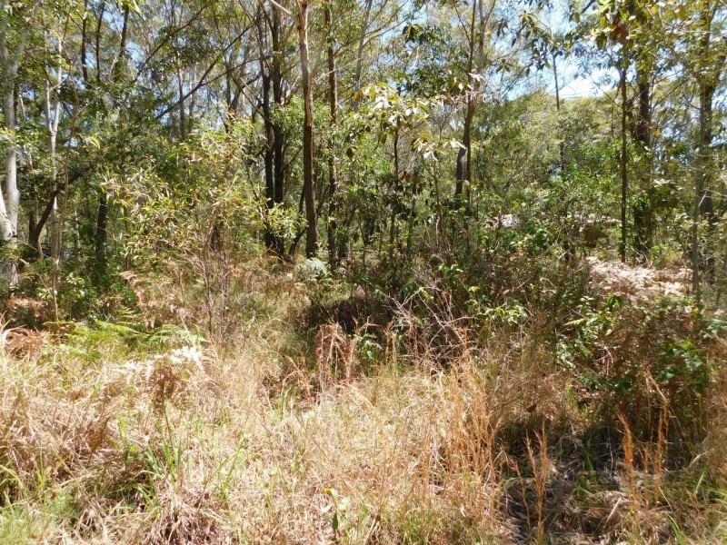 20 Fernando Road, Russell Island QLD 4184