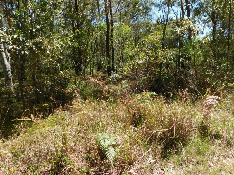 20 Fernando Road, Russell Island QLD 4184