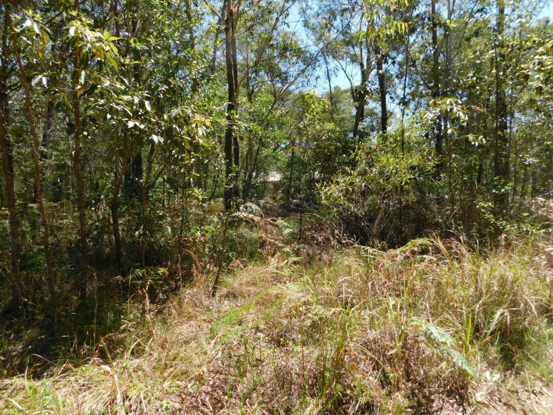20 Fernando Road, Russell Island QLD 4184