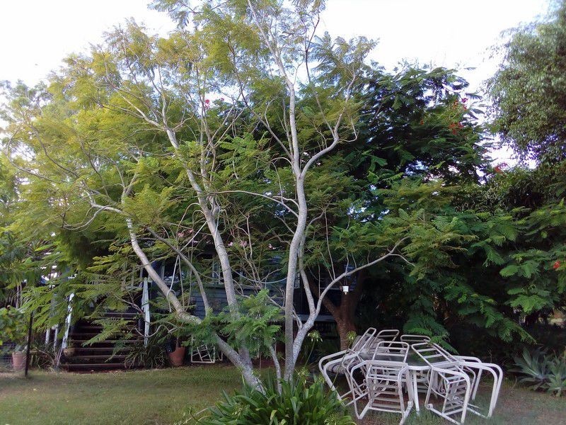 117 Canaipa Point Drive, Russell Island QLD 4184