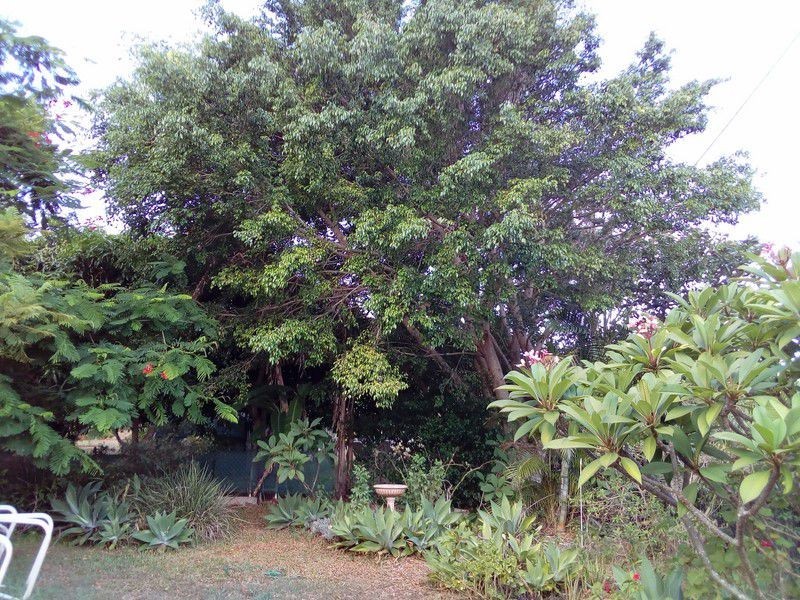 117 Canaipa Point Drive, Russell Island QLD 4184