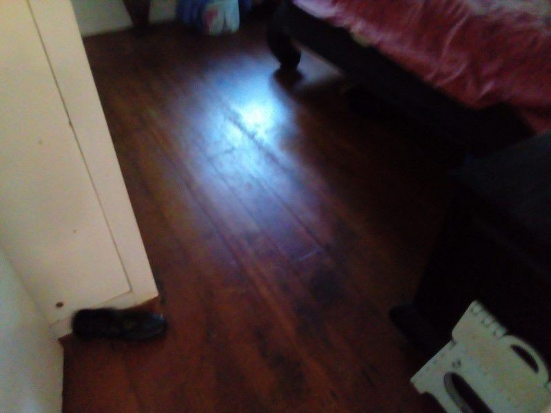 117 Canaipa Point Drive, Russell Island QLD 4184