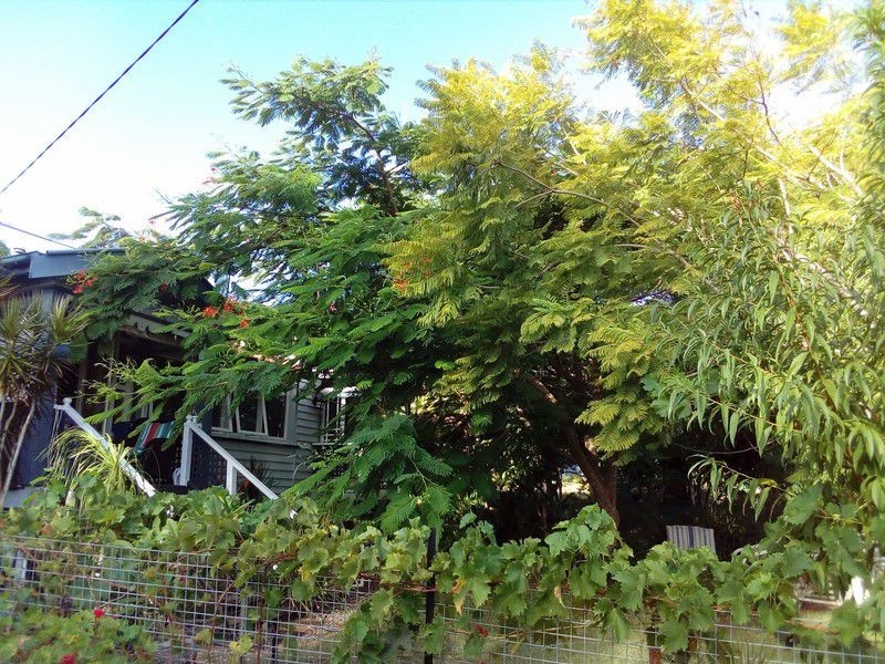 117 Canaipa Point Drive, Russell Island QLD 4184