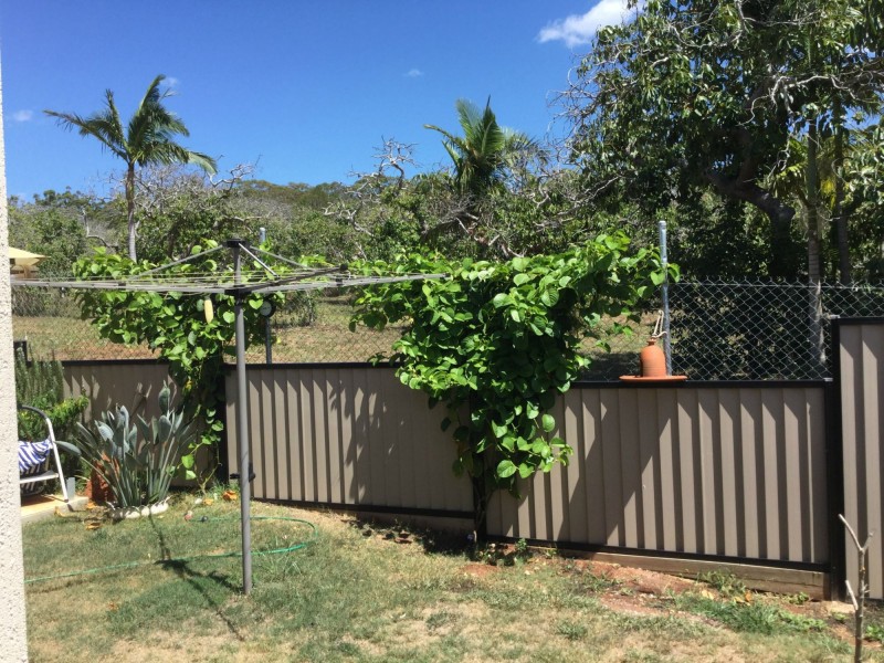 37 Judith Street, Russell Island QLD 4184