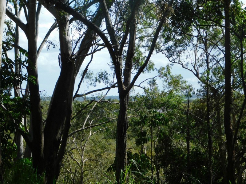 132 Kings Road, Russell Island QLD 4184