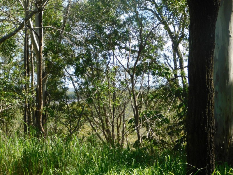 132 Kings Road, Russell Island QLD 4184