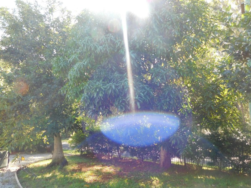 Russell Island QLD 4184