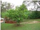 28 Roebuck Road, Russell Island QLD 4184