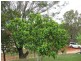 28 Roebuck Road, Russell Island QLD 4184