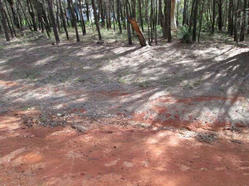 36 Little Cove Road, Russell Island QLD 4184