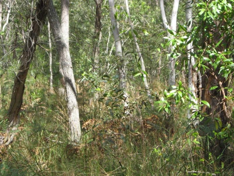 Russell Island QLD 4184