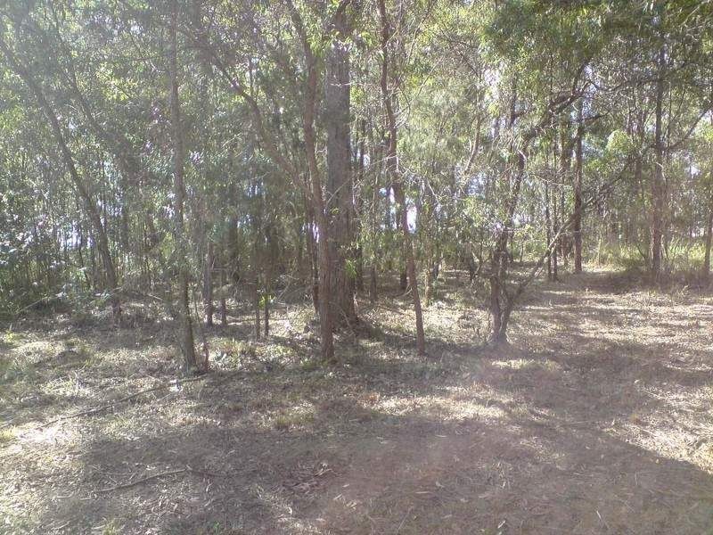 35 Ilumba Street, Russell Island QLD 4184